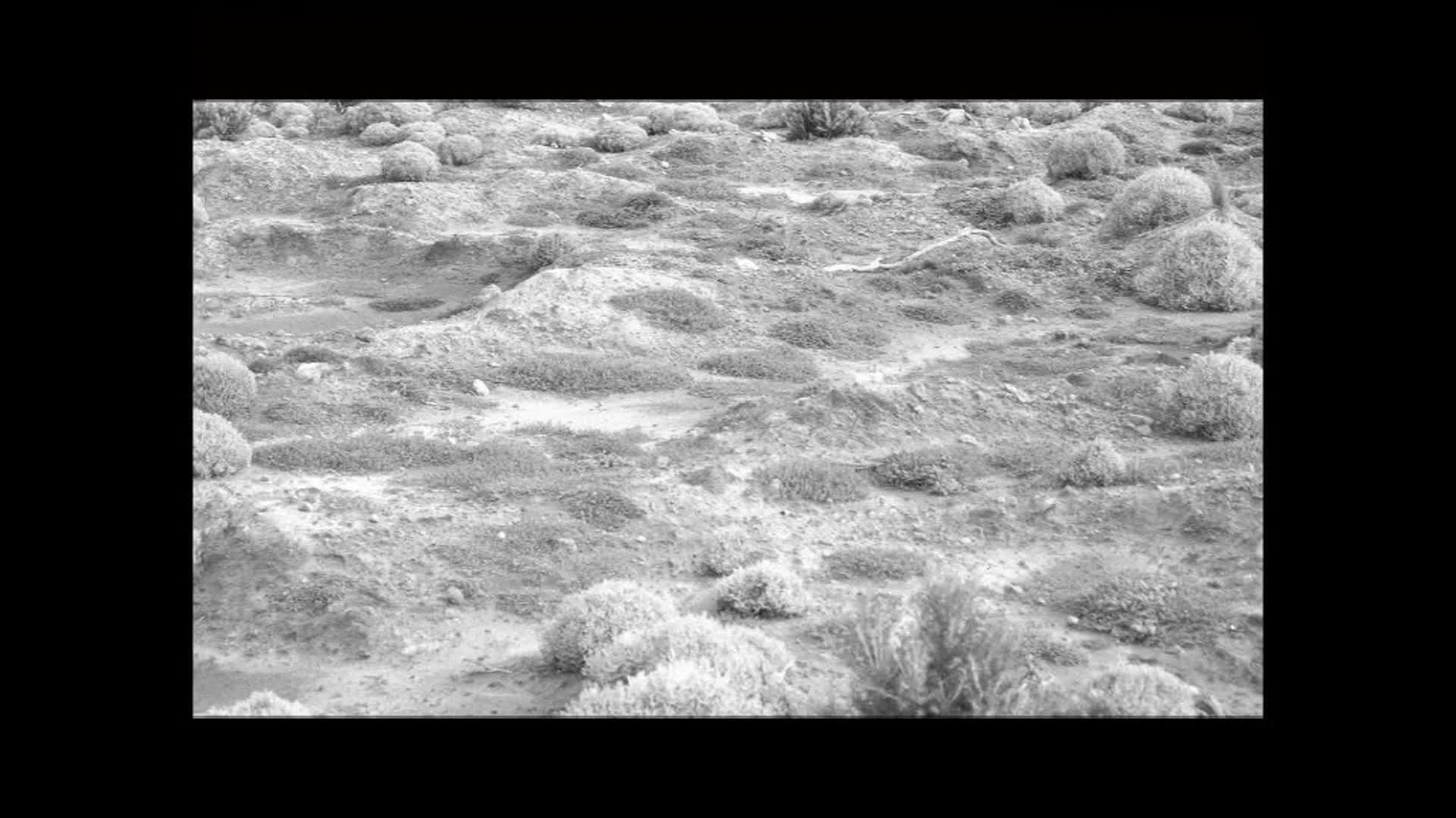 Home thumbnail image.