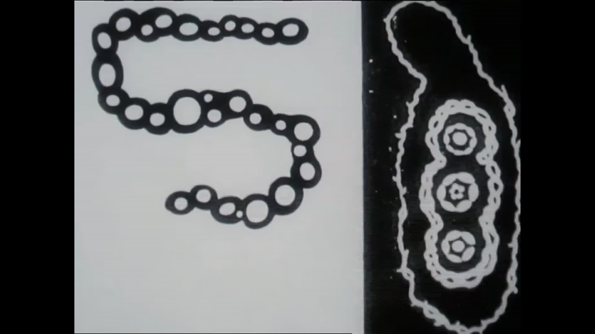 Tusalava thumbnail image.