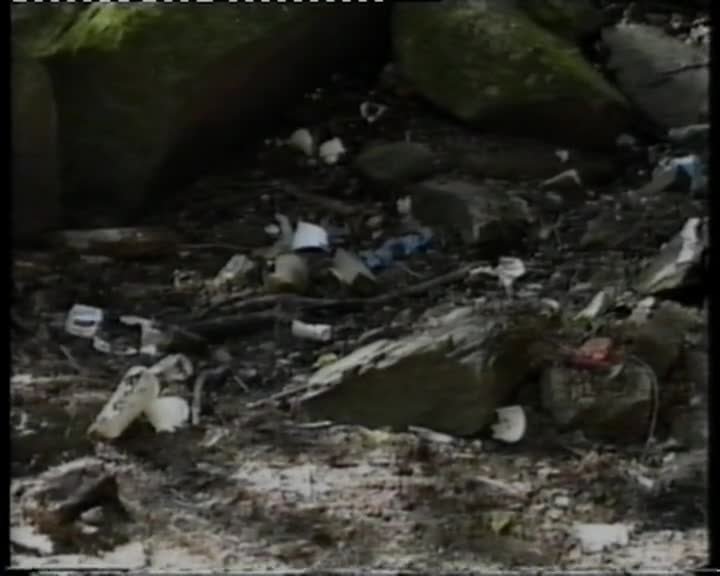 A still image from A Day in the life of a child: introducing environmental action