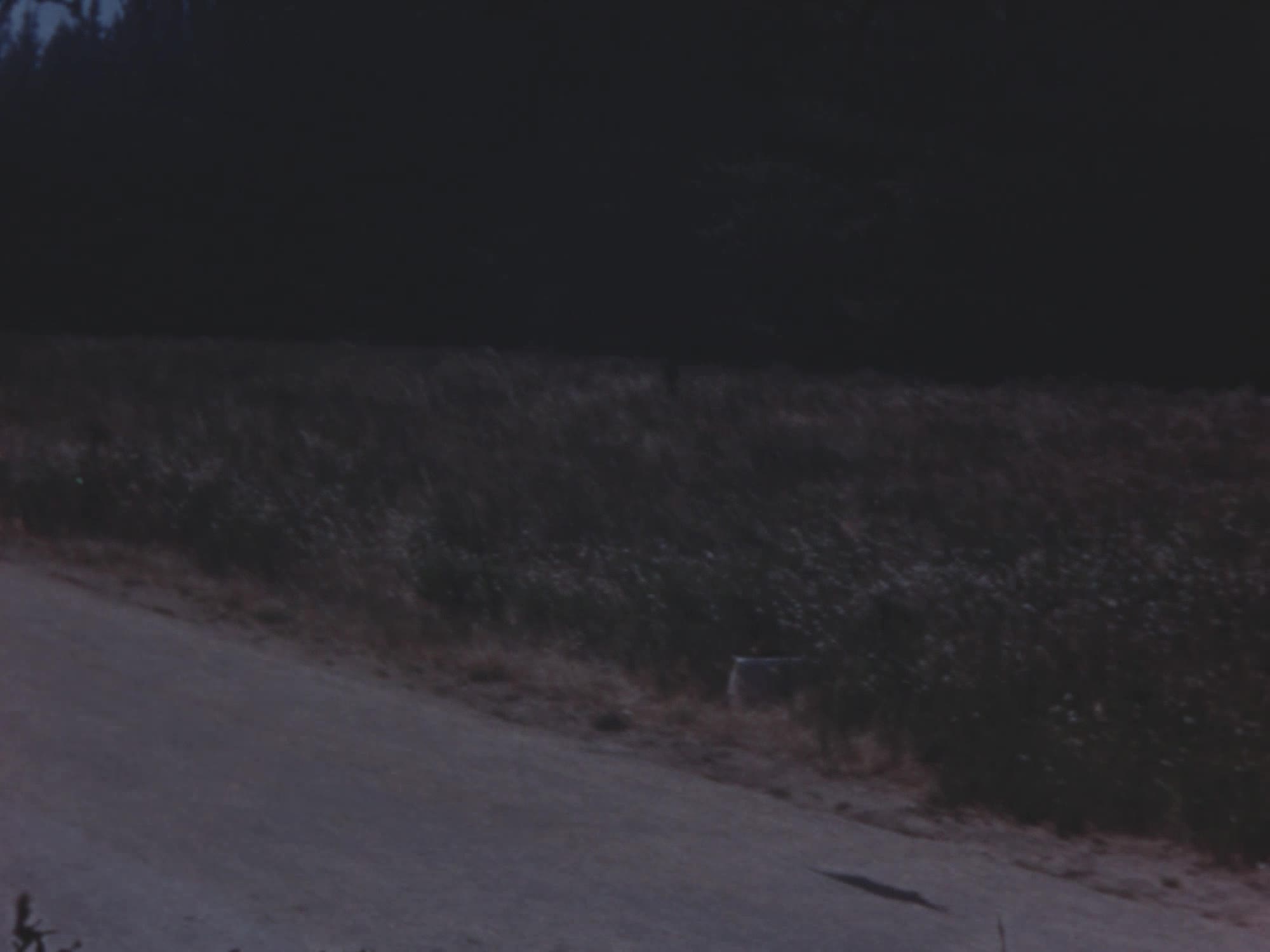 [Nicoll Family Home Movies: Reel 4] thumbnail image.