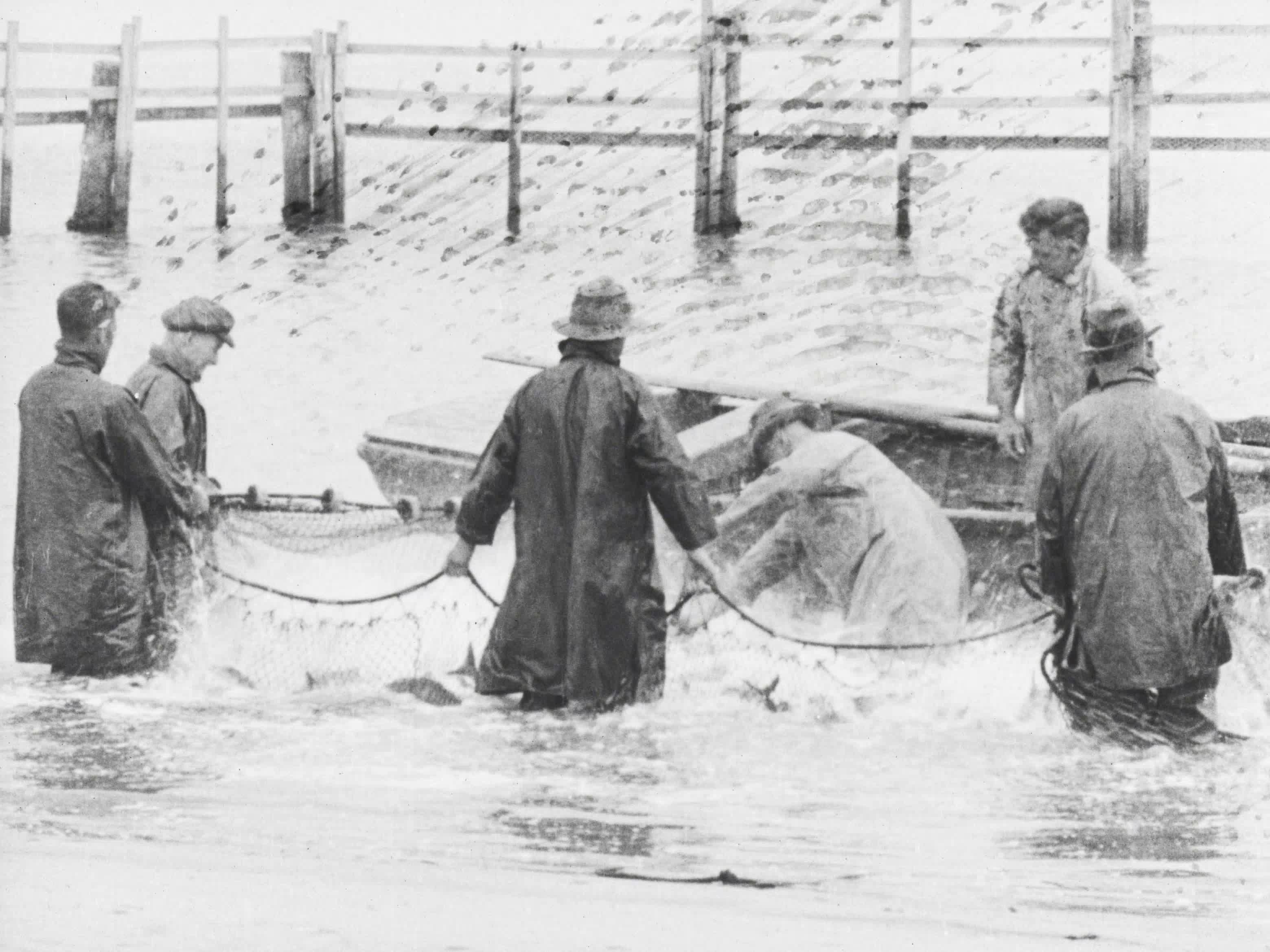 Glimpses of Gippsland thumbnail image.