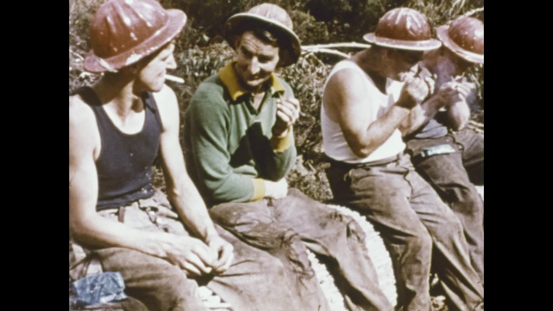 The Burnie story thumbnail image.