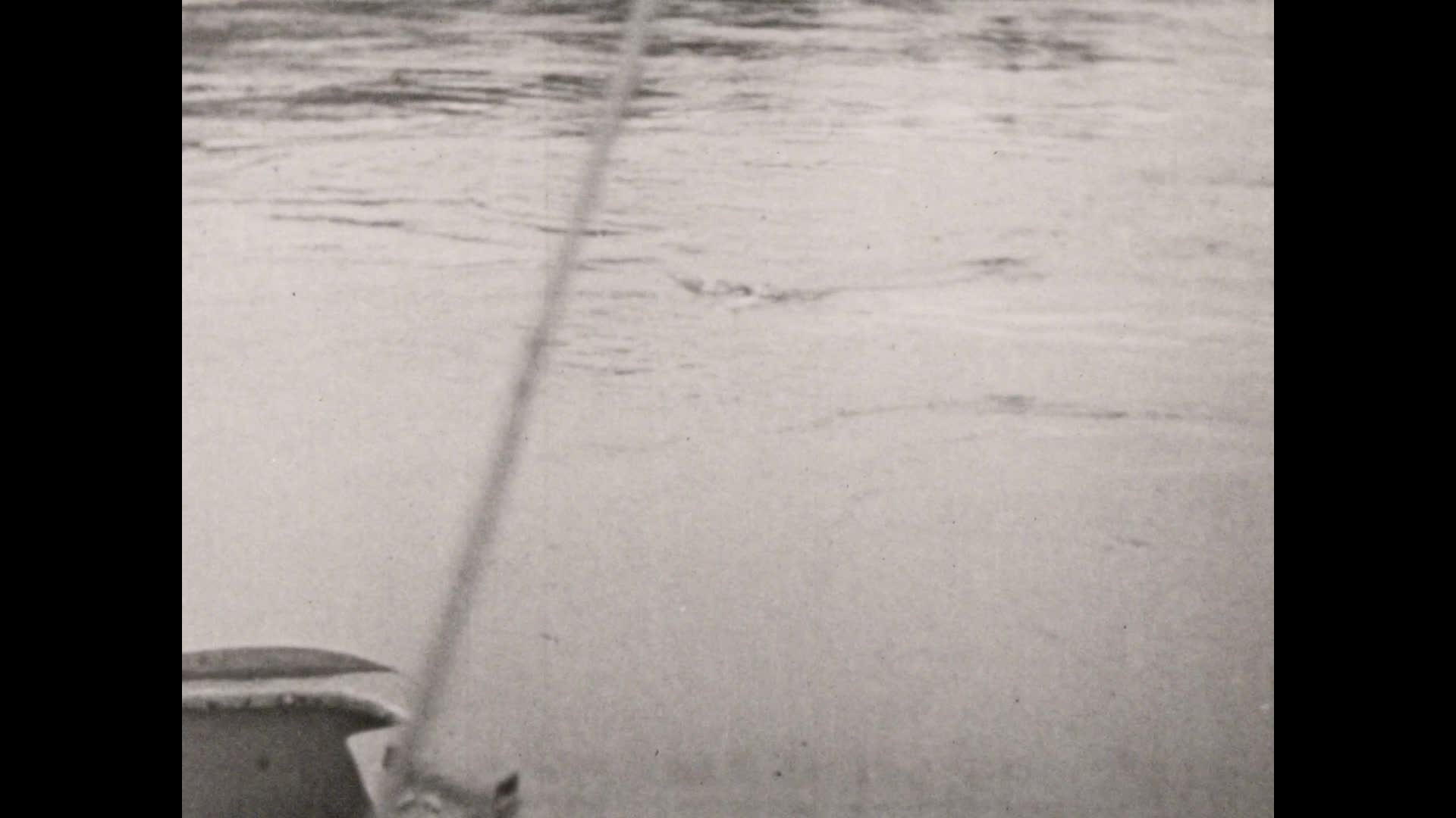 [Kodak Cinegraph compilation. No. 06] thumbnail image.