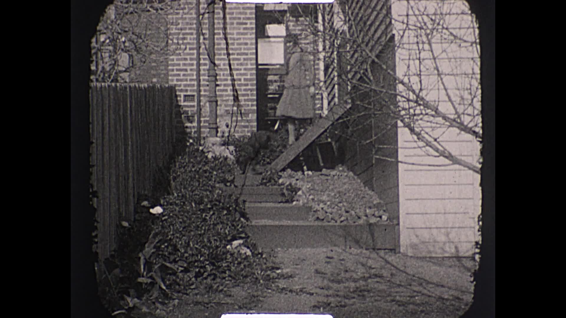 [John Robertson Duigan Film Collection: Reel 12] thumbnail image.