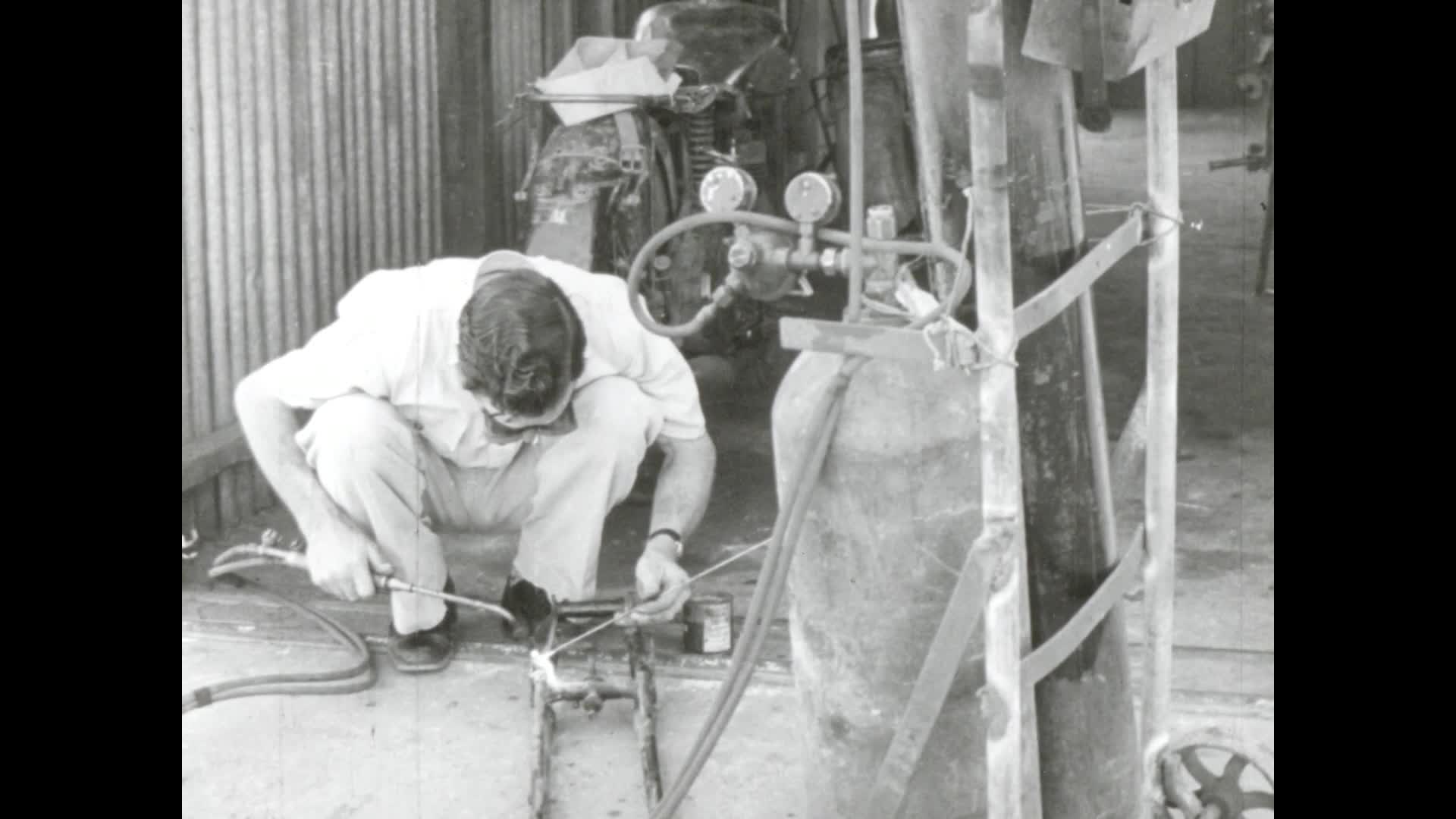 Sheep in the desert thumbnail image.