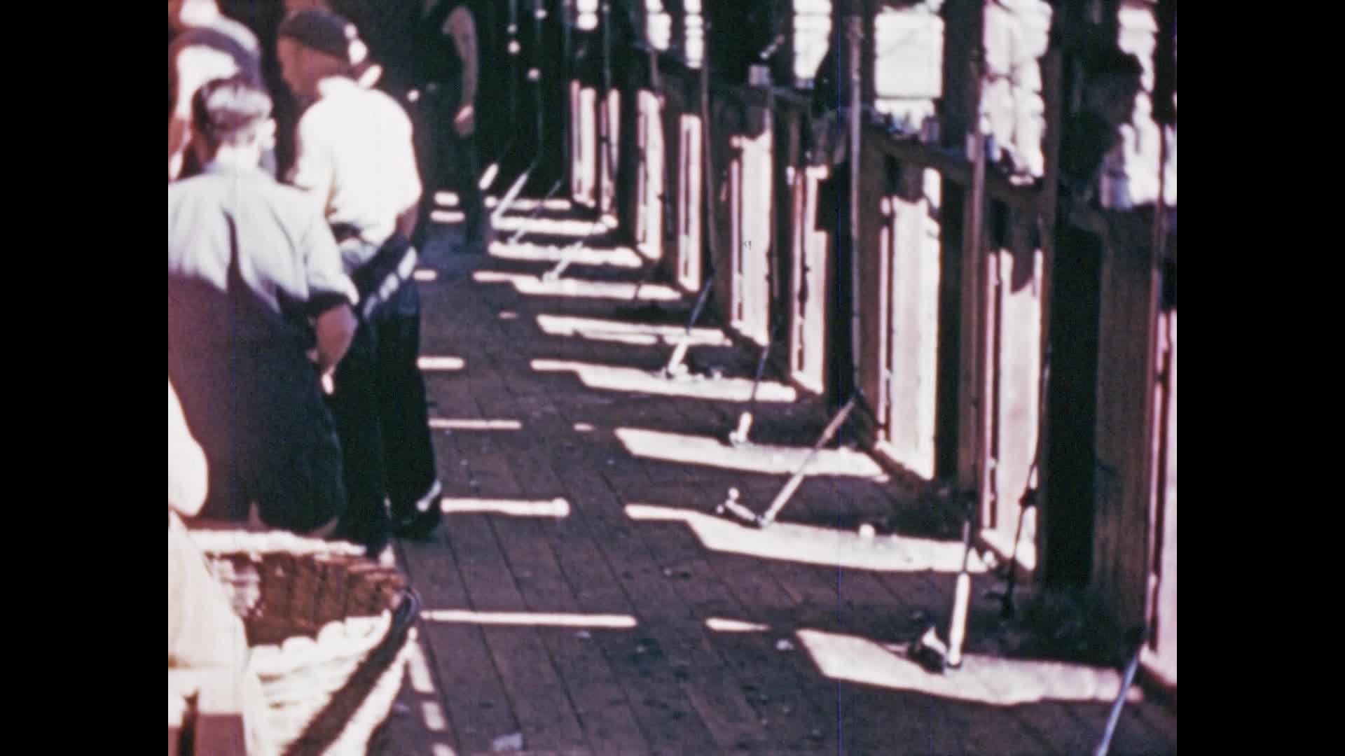 Shearing at Big Billabong thumbnail image.