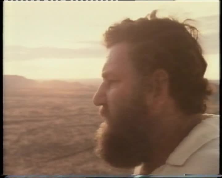 A still image from Central Australia: tracks in the sand