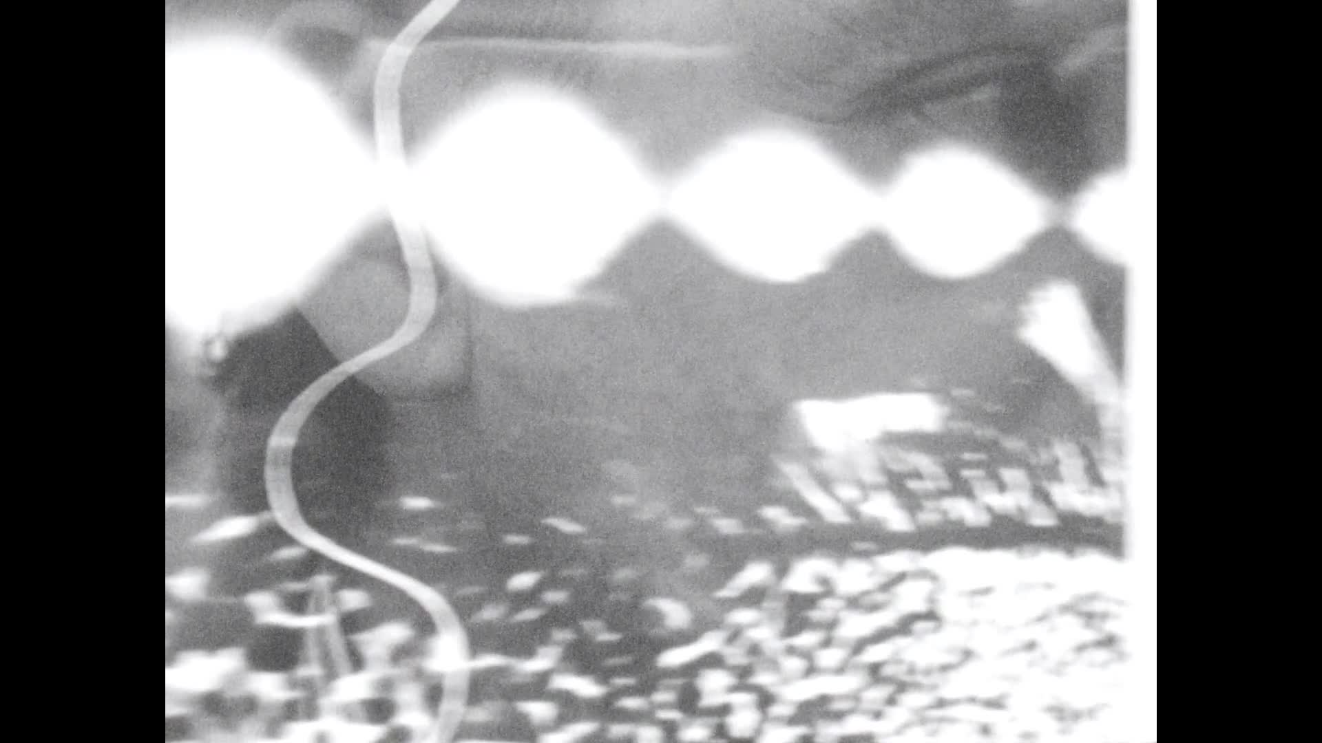 Gyorgy Kepes thumbnail image.