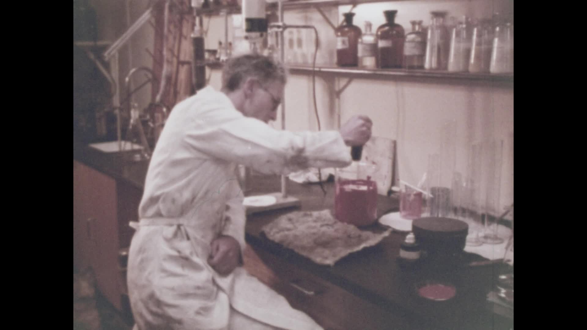 Progress in Wool thumbnail image.