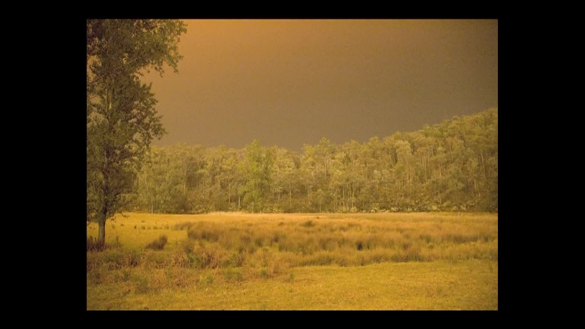 Waterholes : our turn thumbnail image.