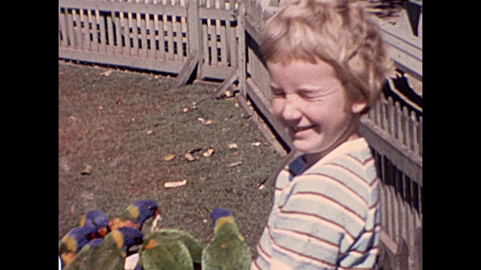 [Nixon Family Home Movies: Reel 3] thumbnail image.