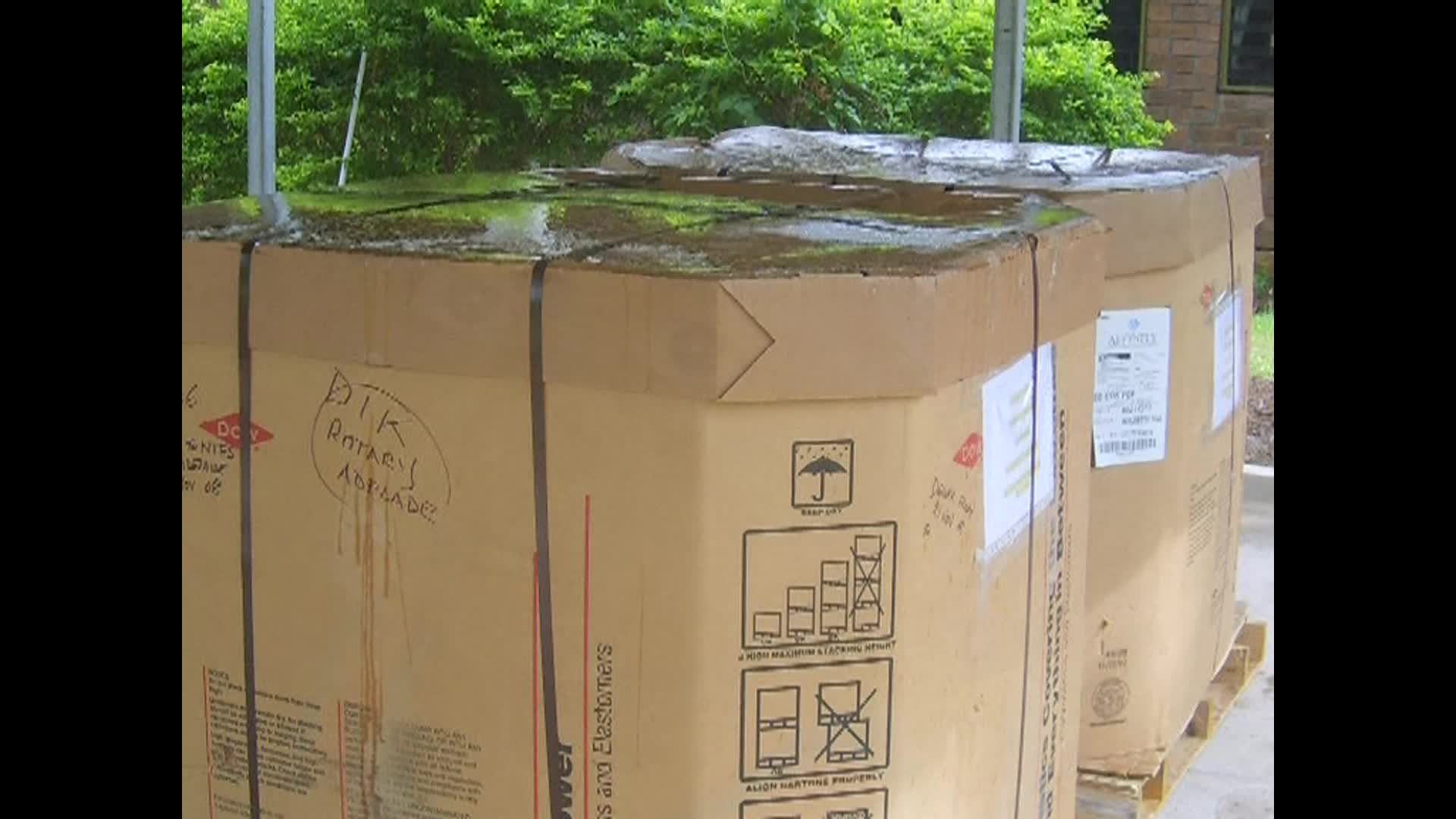 A Christmas story thumbnail image.