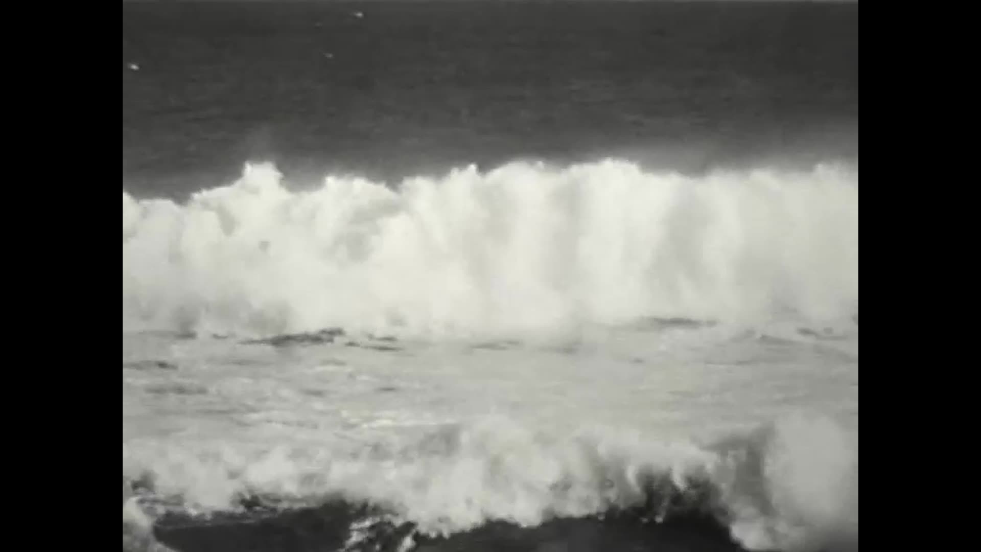 Witness thumbnail image.