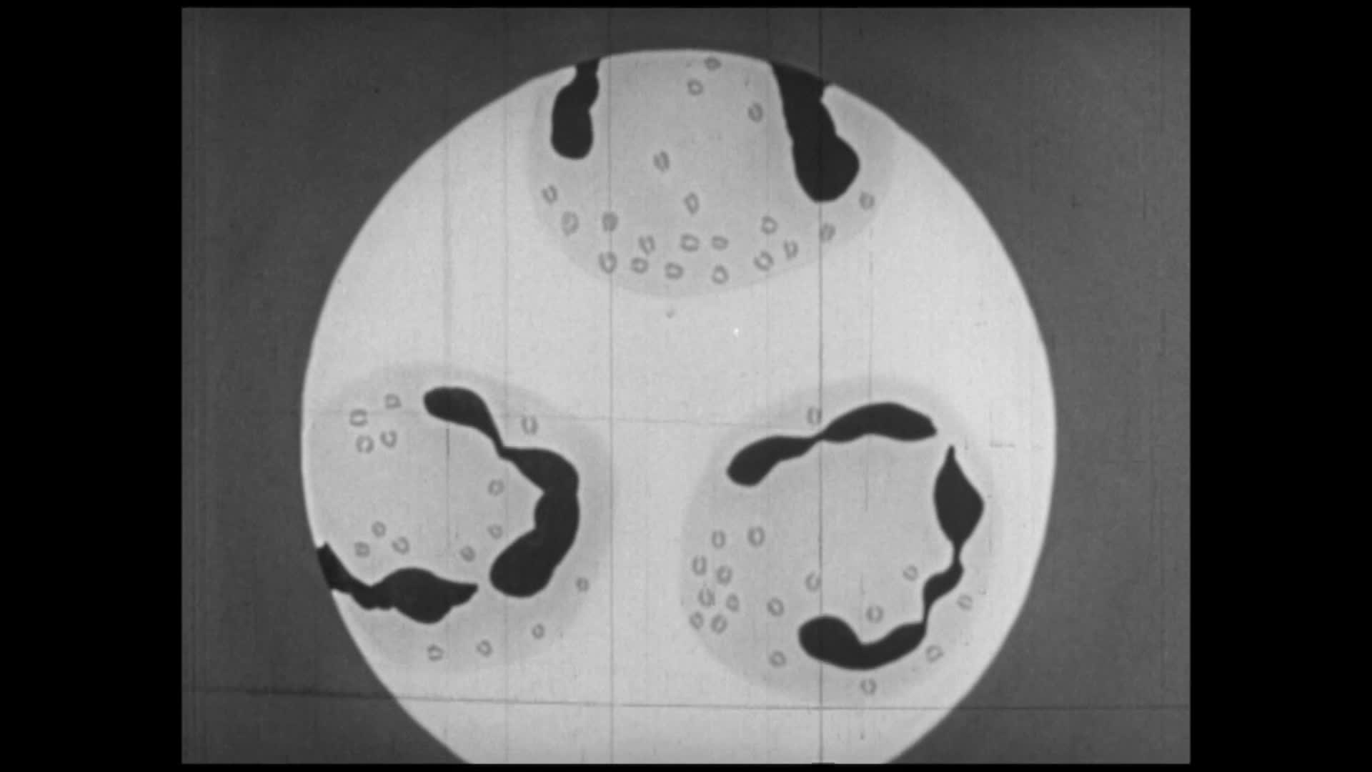 Sixteen to twenty-six thumbnail image.