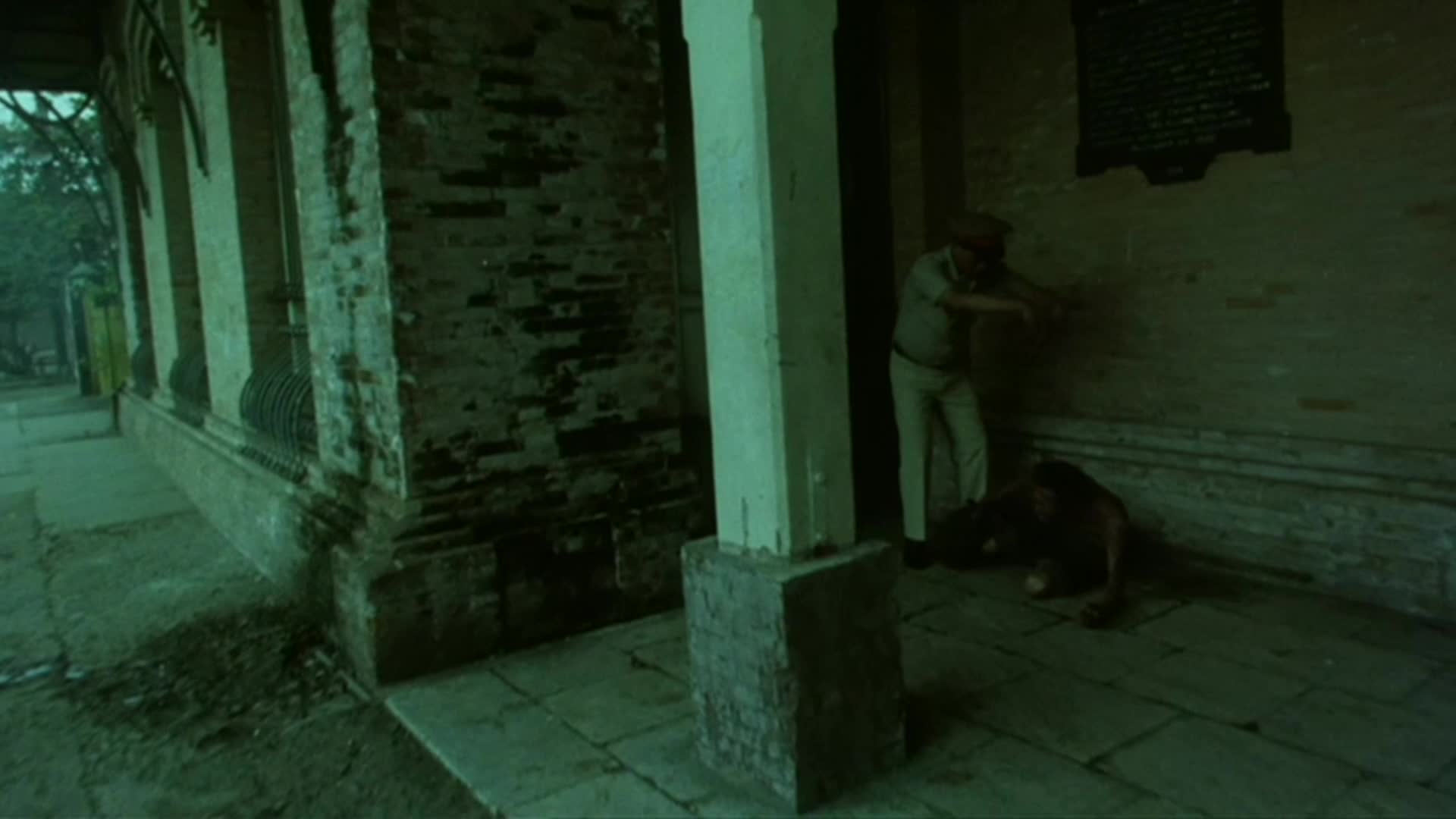 Interview with Christopher Doyle thumbnail image.