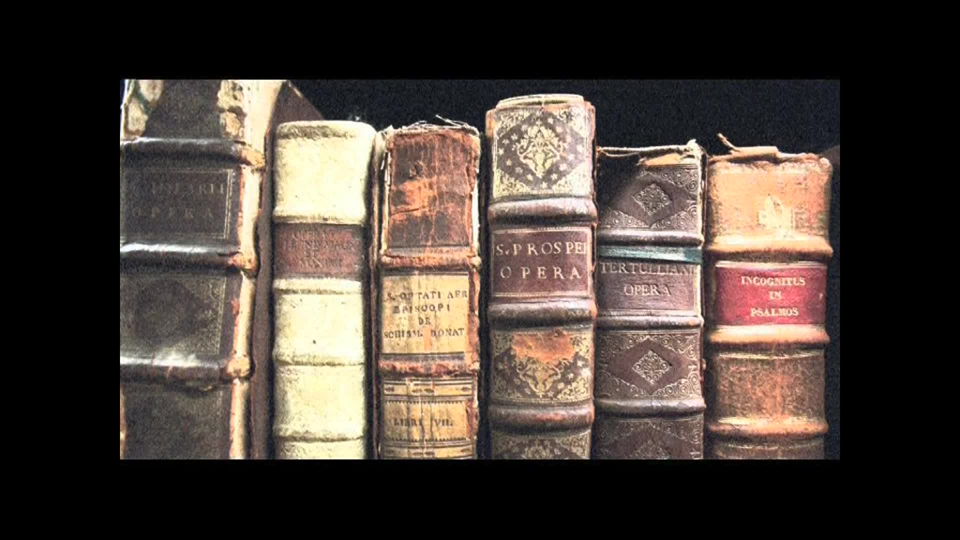 Dr Isabel Joy Bear thumbnail image.