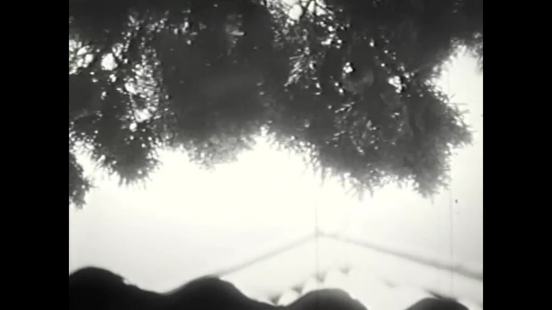 Return thumbnail image.