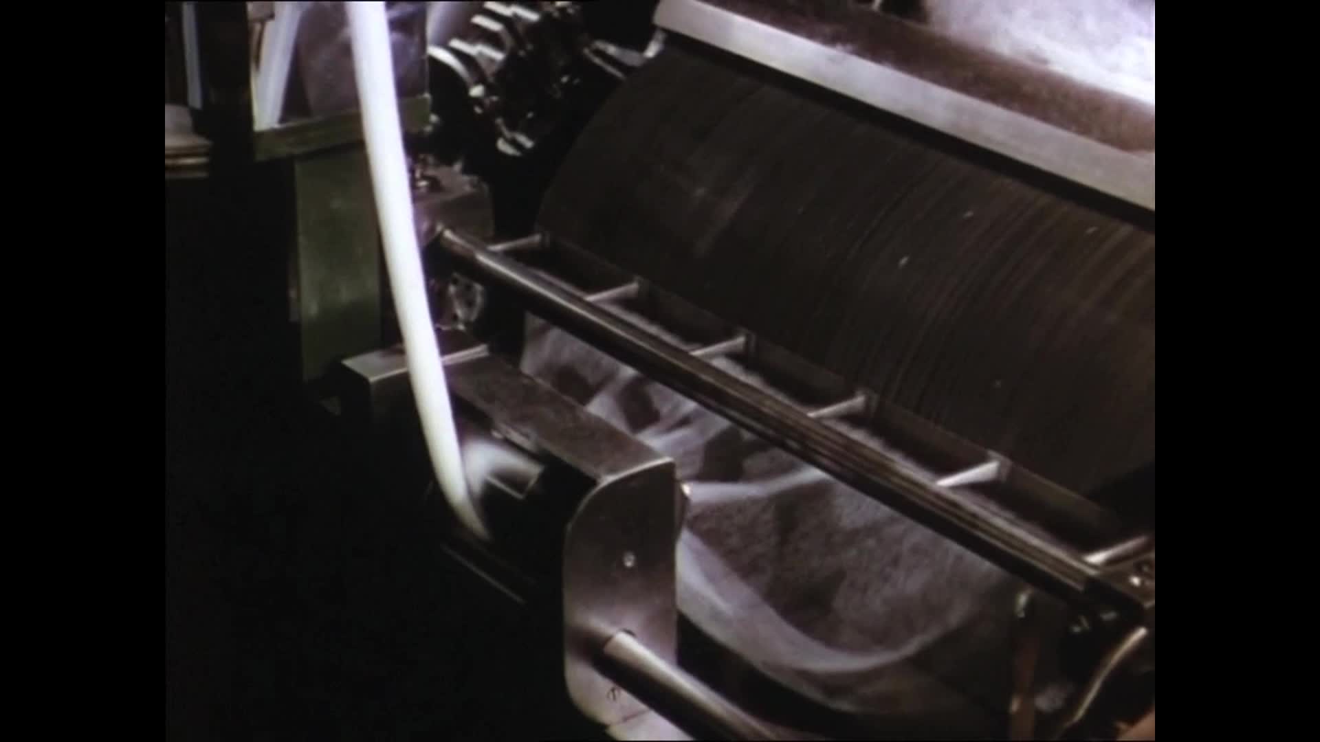 Queen cotton thumbnail image.