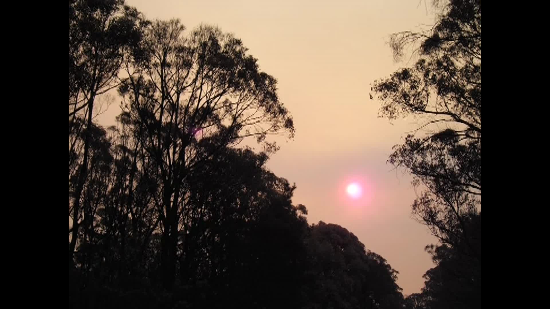 A Day to remember thumbnail image.