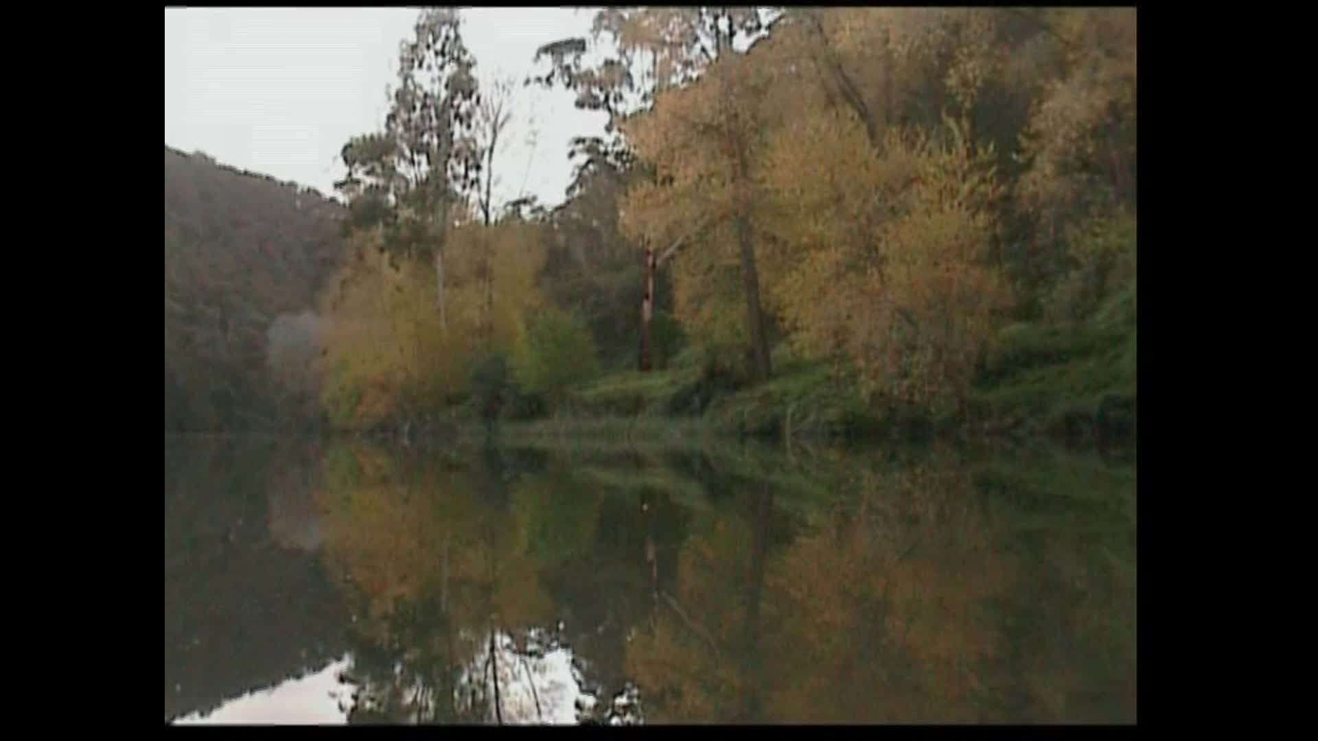 The Burning question thumbnail image.