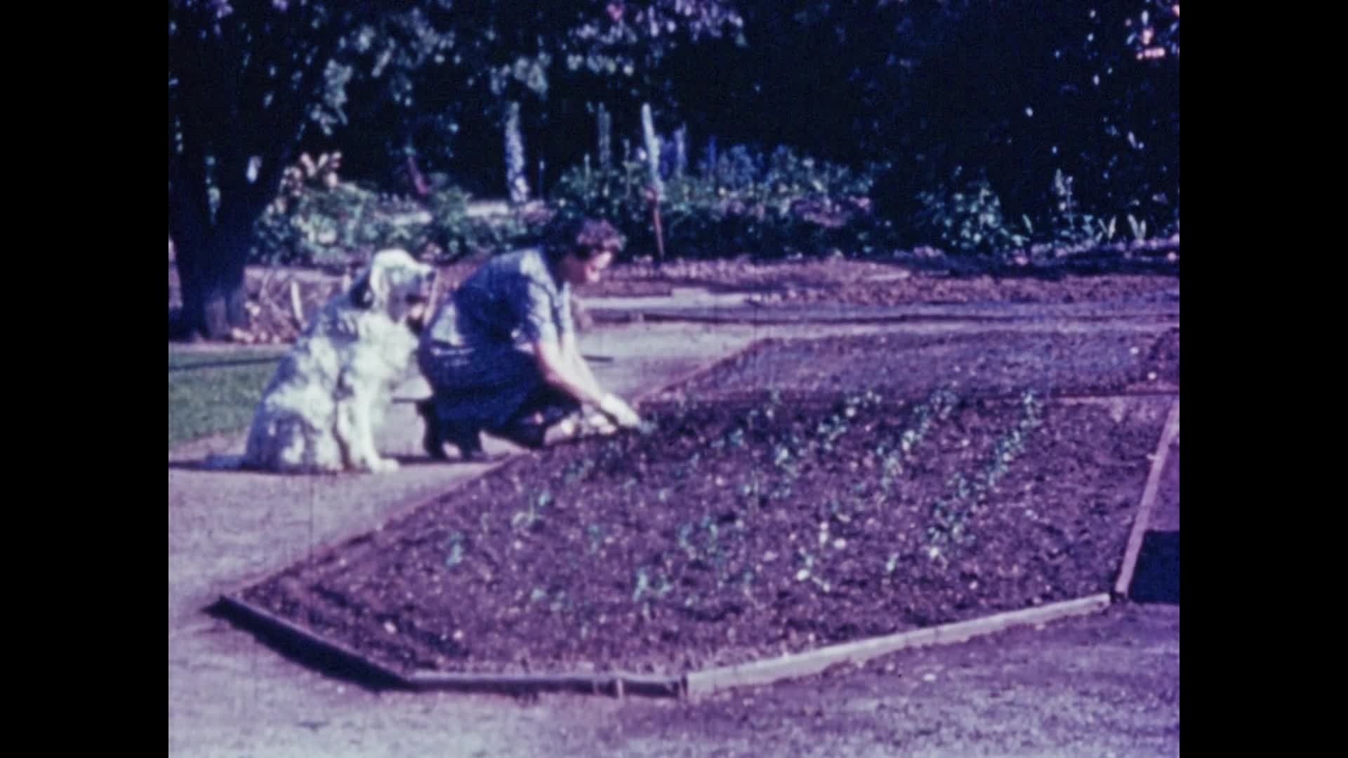 Achievement thumbnail image.