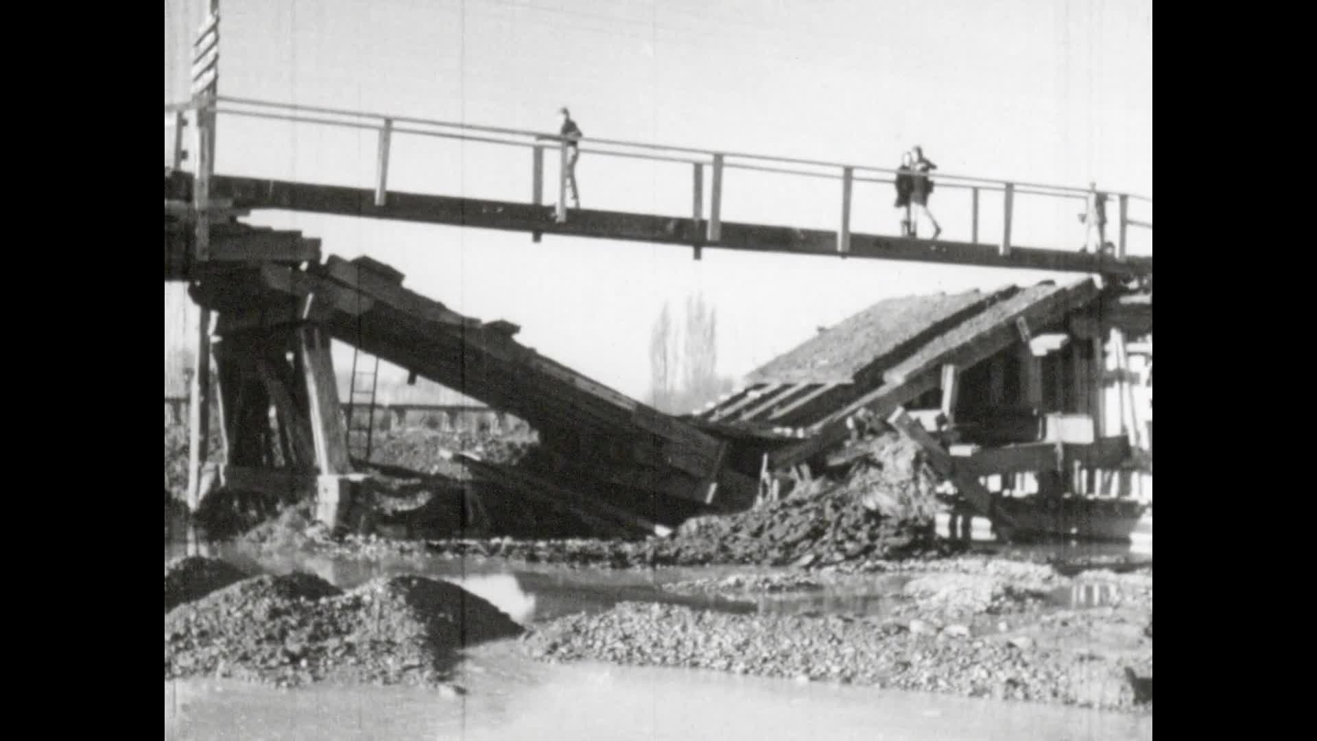 [New Zealand Weekly Review. No. 201] thumbnail image.