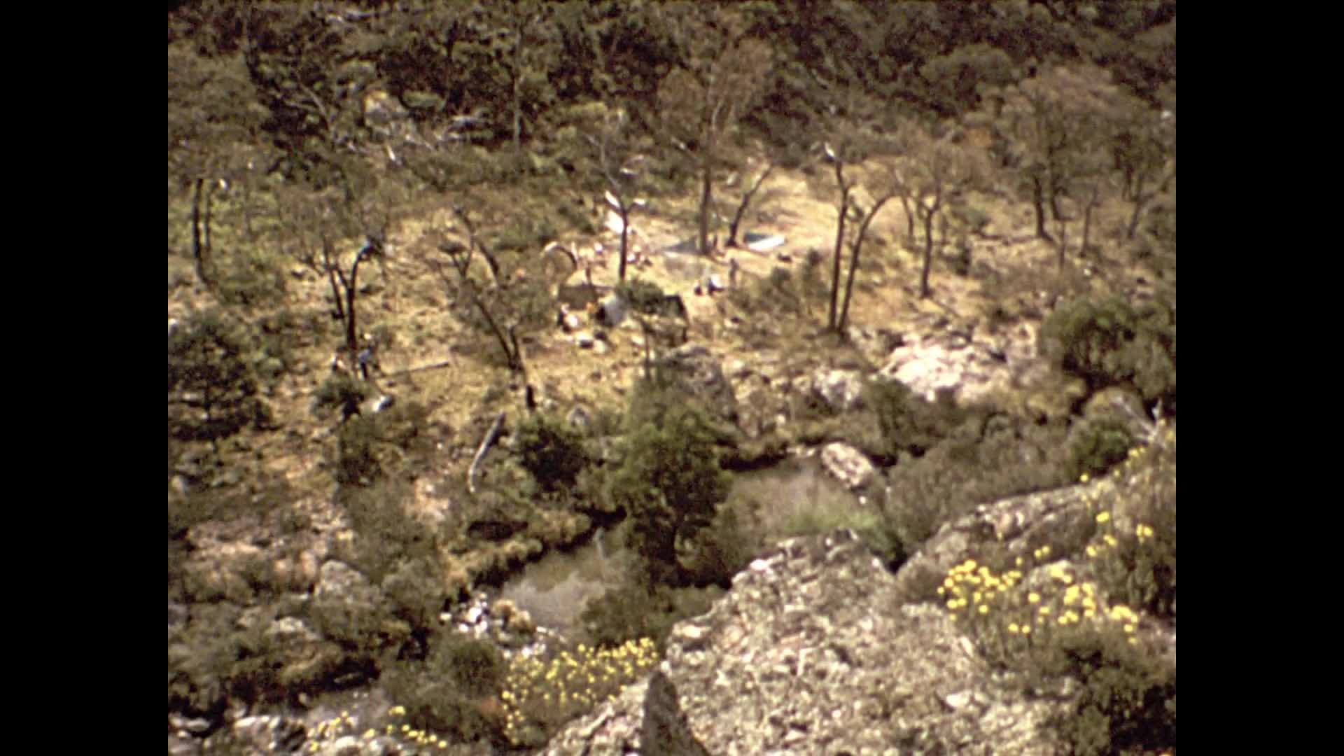 [Wallace Clarke Home Movies: Reel 28] thumbnail image.