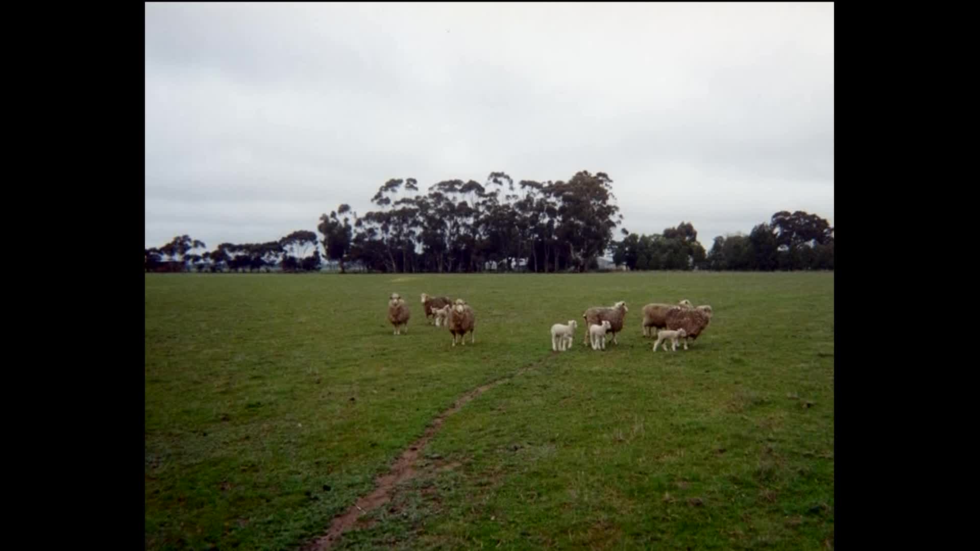 Extending boundaries thumbnail image.