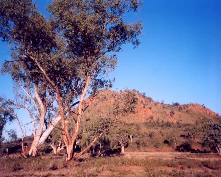 A still image from Where my heart lies