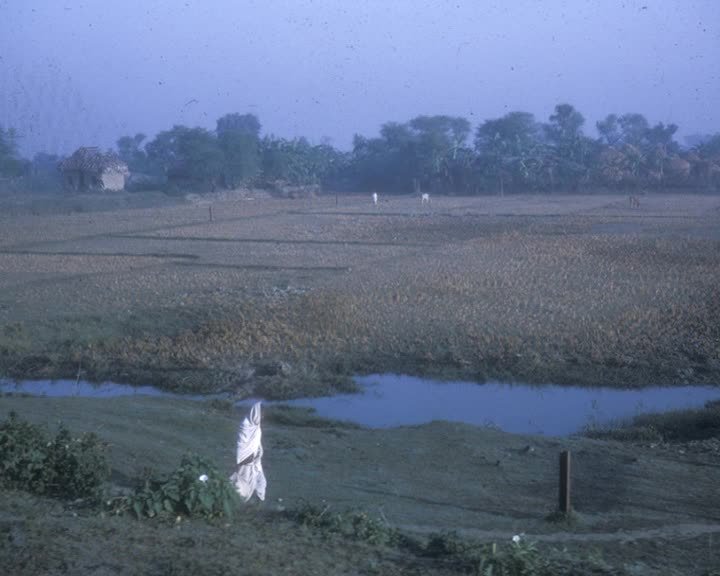 A still image from Kalihgat