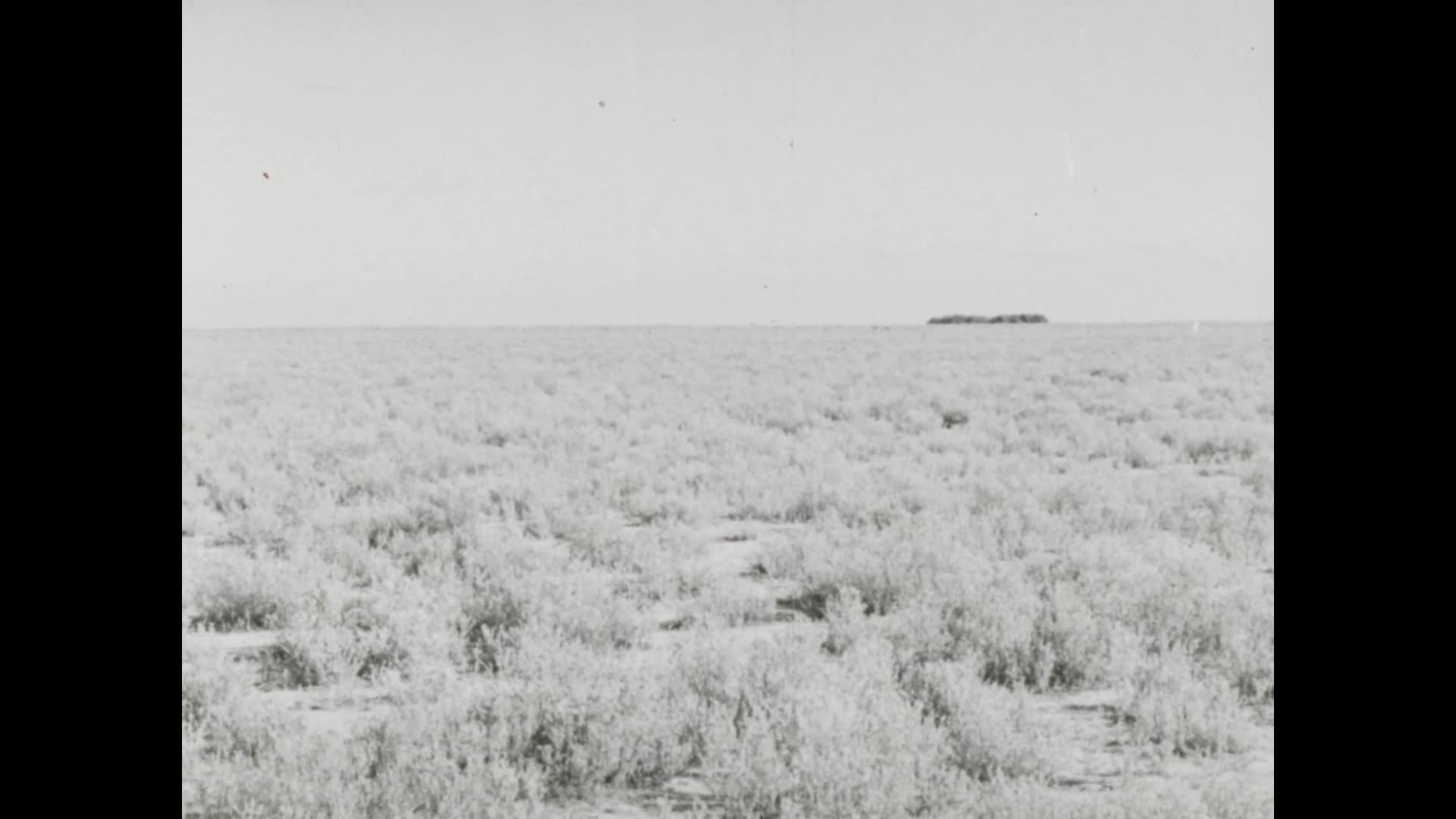 Ram sales thumbnail image.