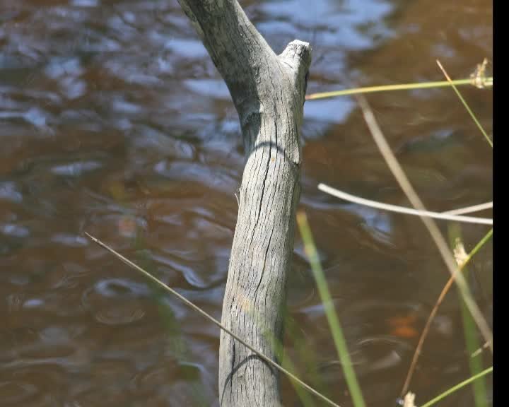 A still image from Foot in the air