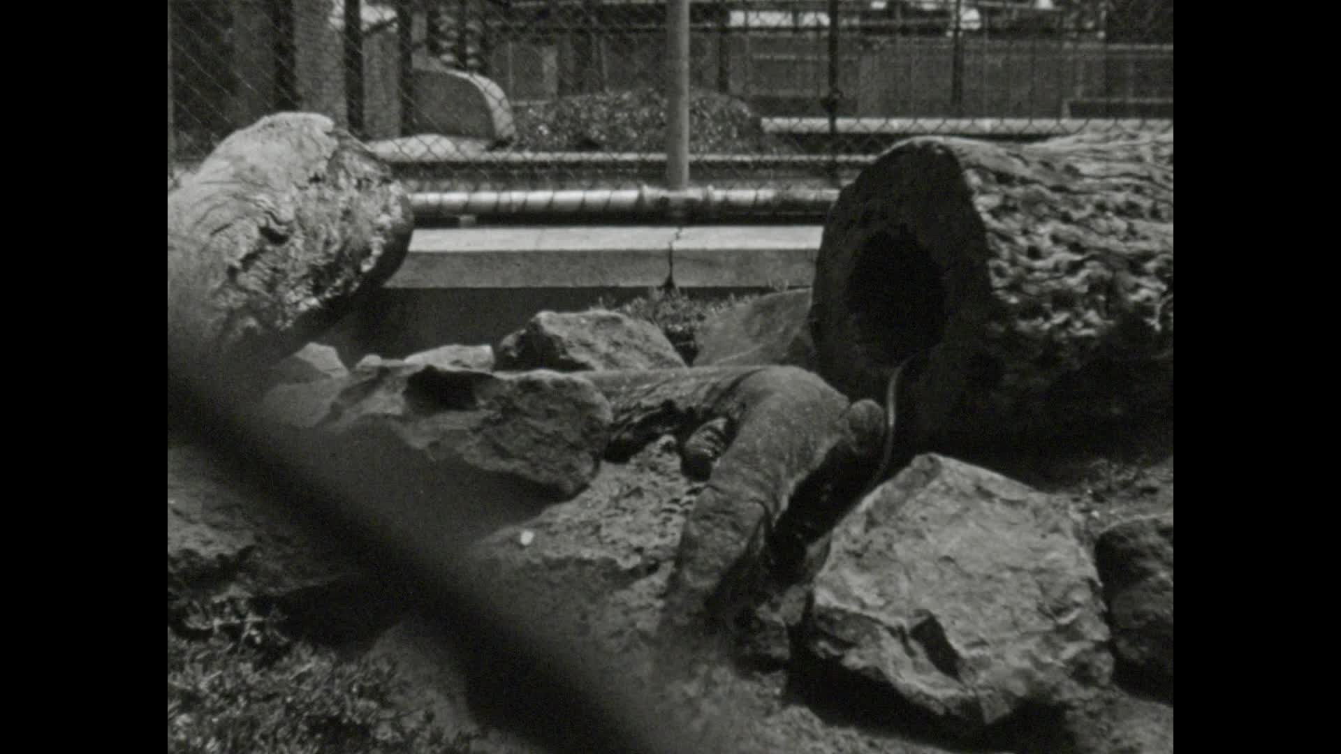 [Raymond Penington Home Movies: Reel 1] thumbnail image.