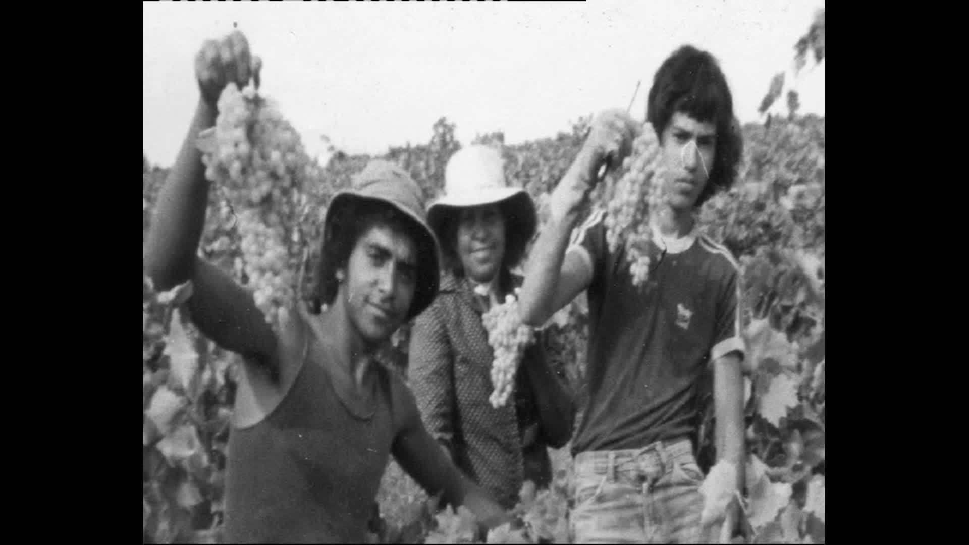 Days of Echuca thumbnail image.