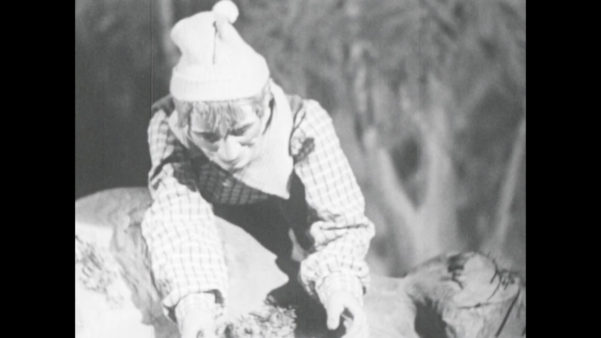 The Honest woodsman thumbnail image.