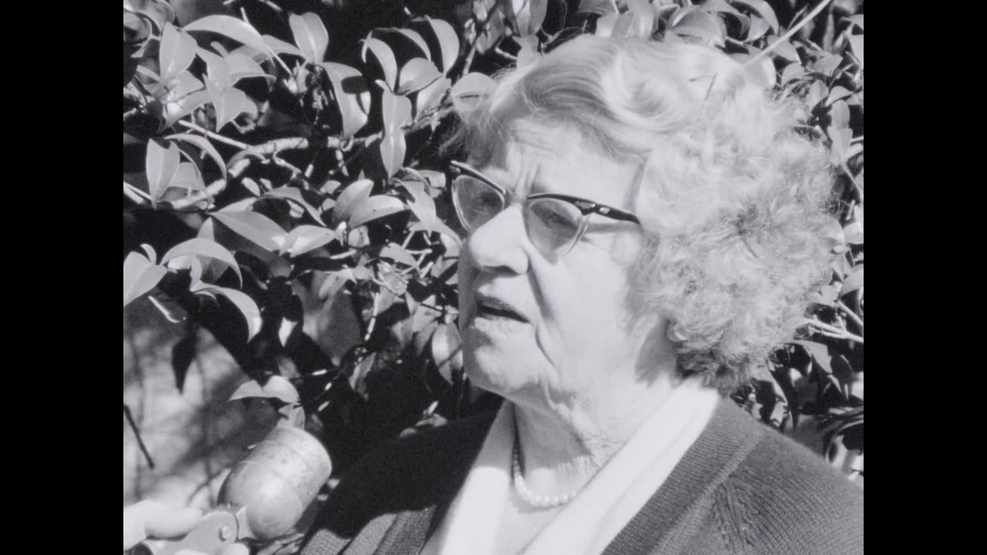 [Ned Kelly cummerbund interview] thumbnail image.