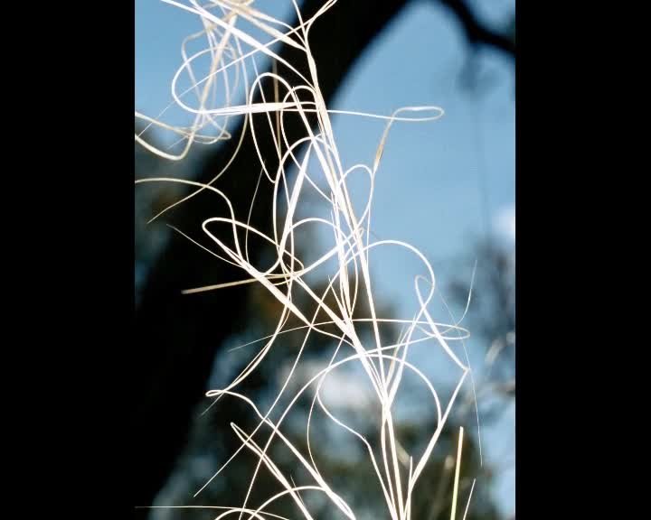 A still image from Re-connecting with the land