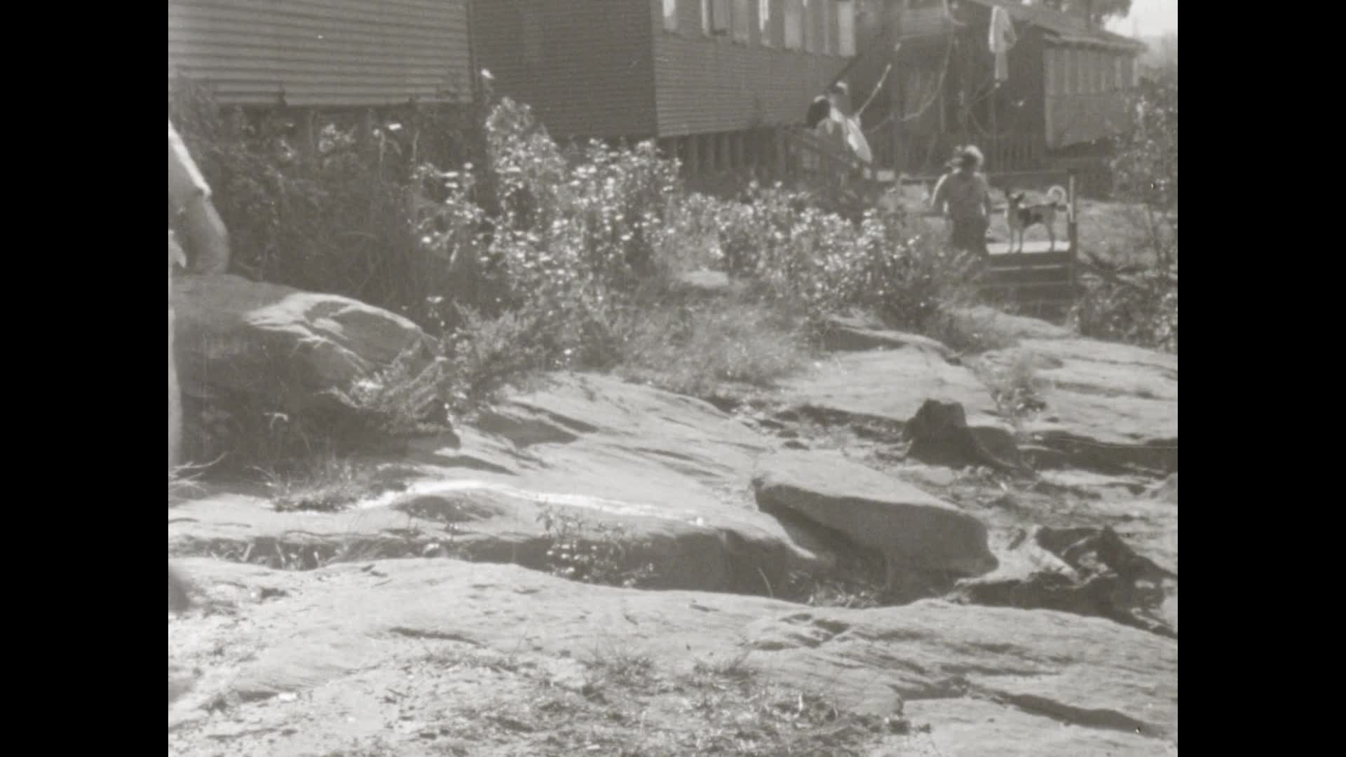 The Happy toilers thumbnail image.