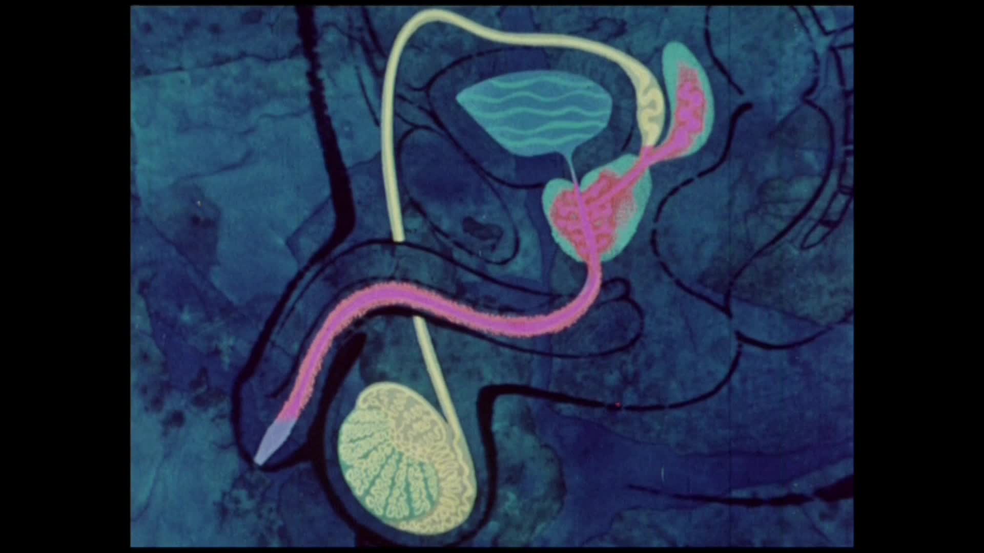 A Half million teenagers thumbnail image.