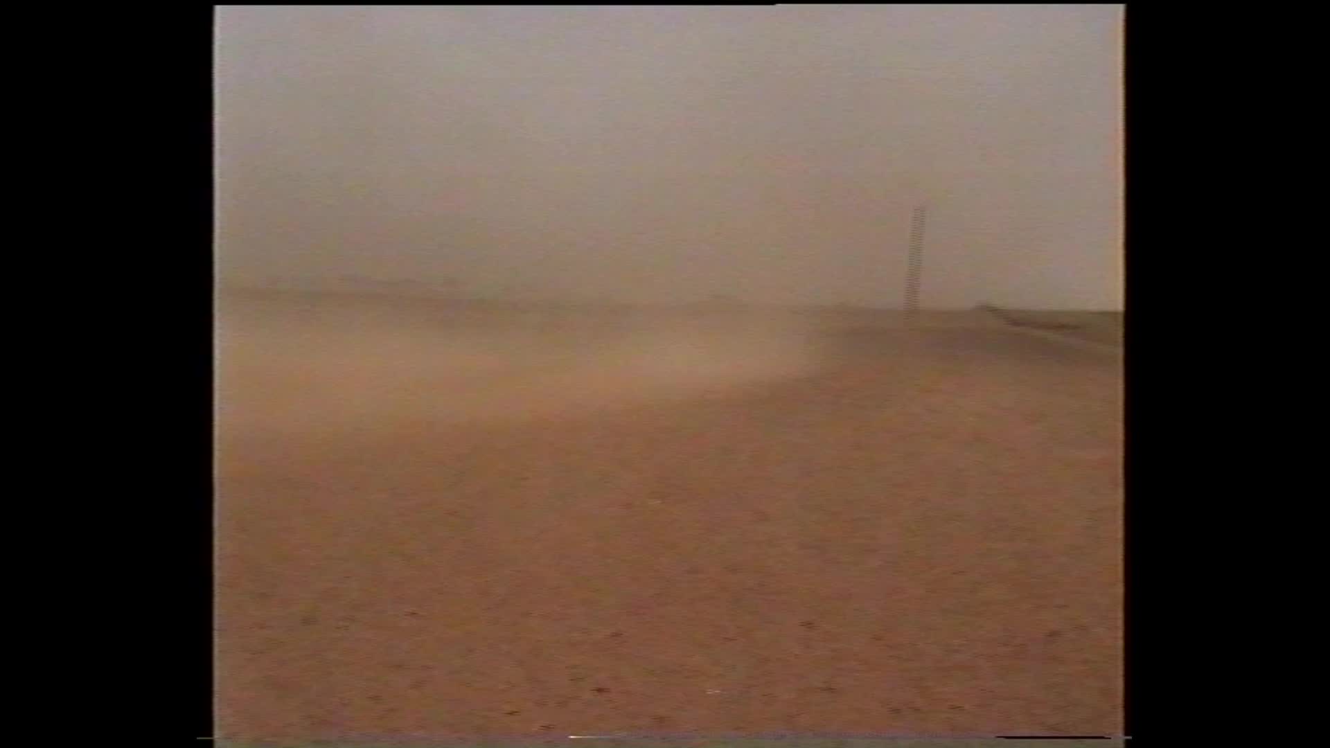 Mallee blossom thumbnail image.