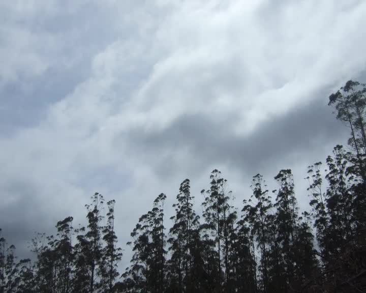 A Sad realisation thumbnail image.