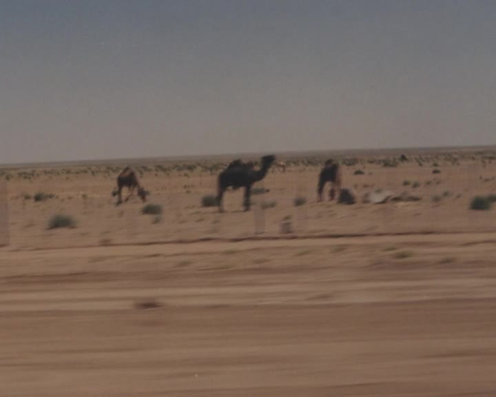 Yodit and I thumbnail image.