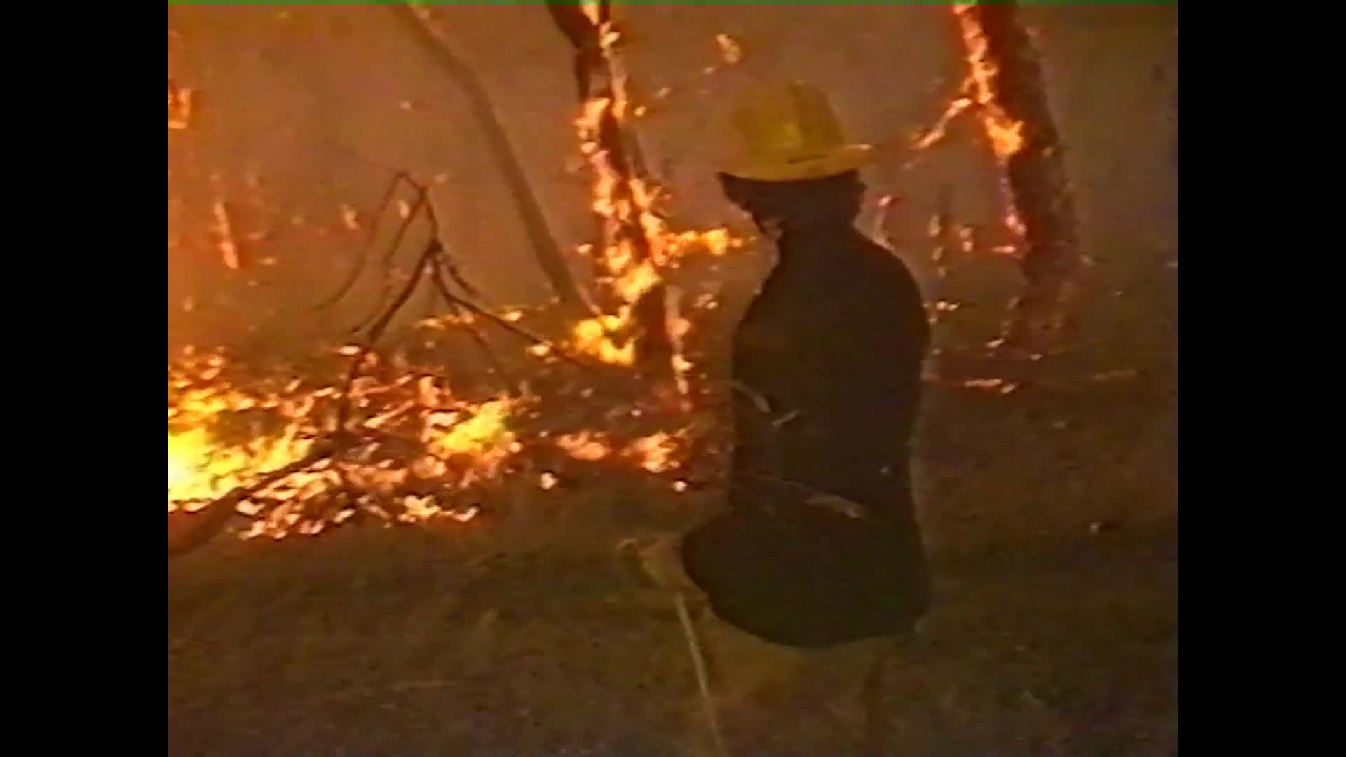 Buildings and Bushfires-Improving the Chances of Survival thumbnail image.