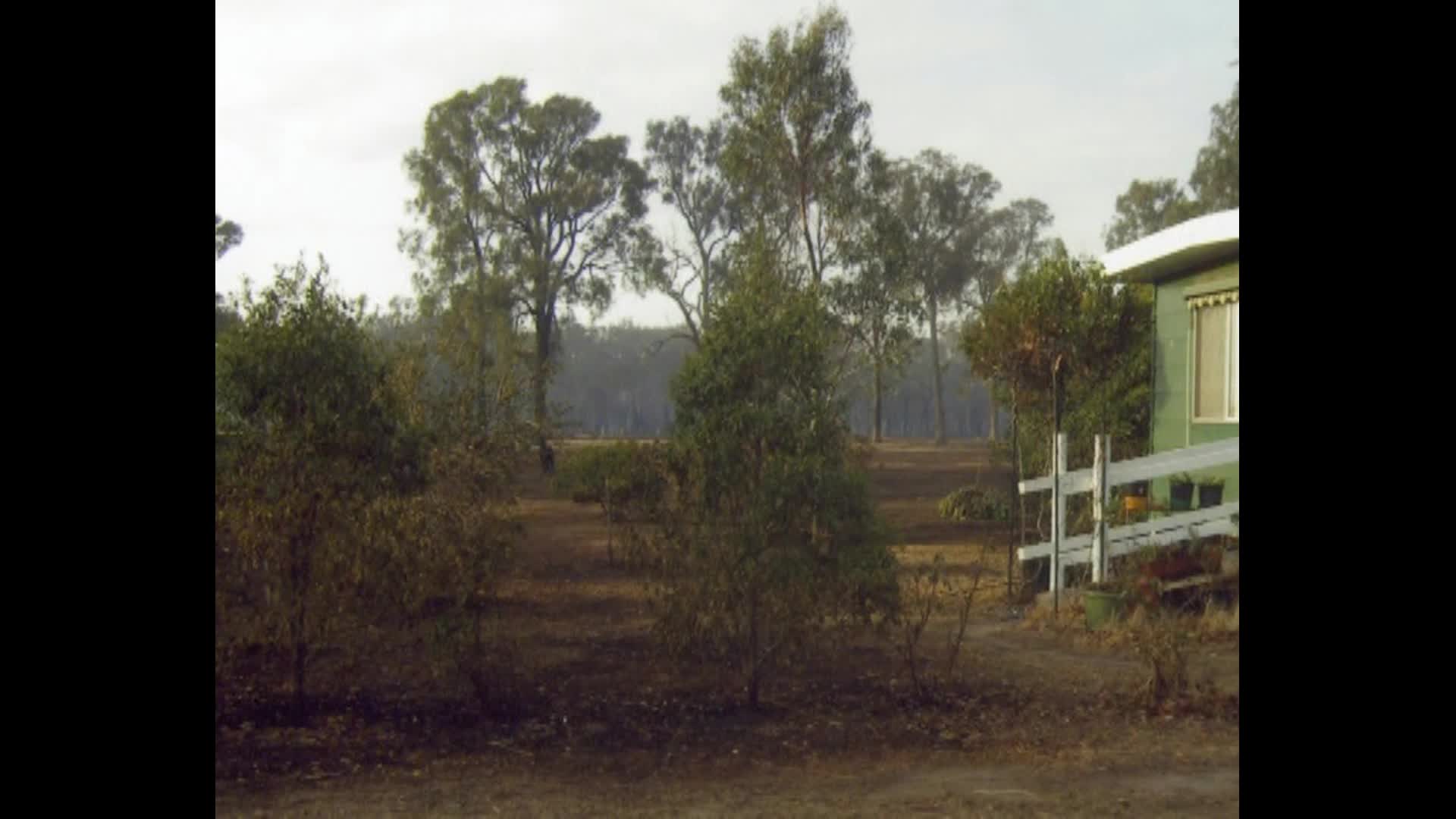 My nightmare has just begun thumbnail image.