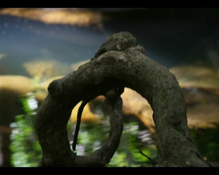 A still image from Together