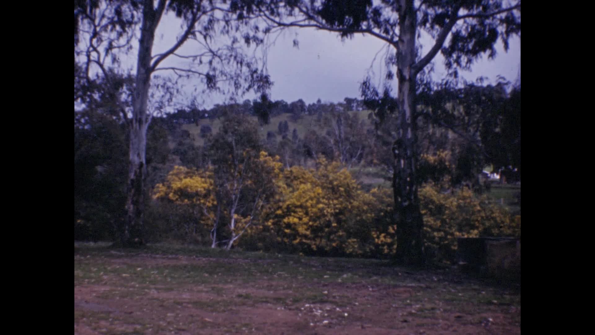 [Raymond Penington Home Movies: Reel 7] thumbnail image.