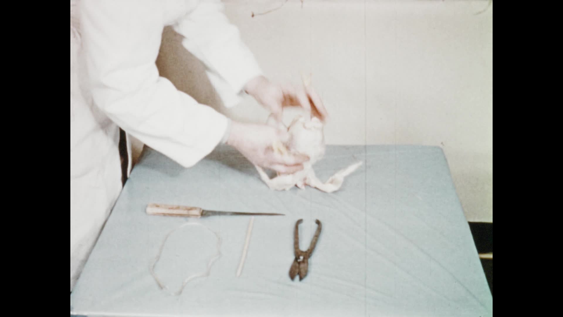 Dressing a Chicken thumbnail image.