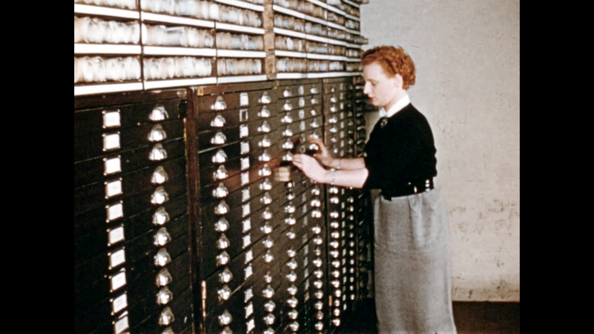 Before production begins thumbnail image.