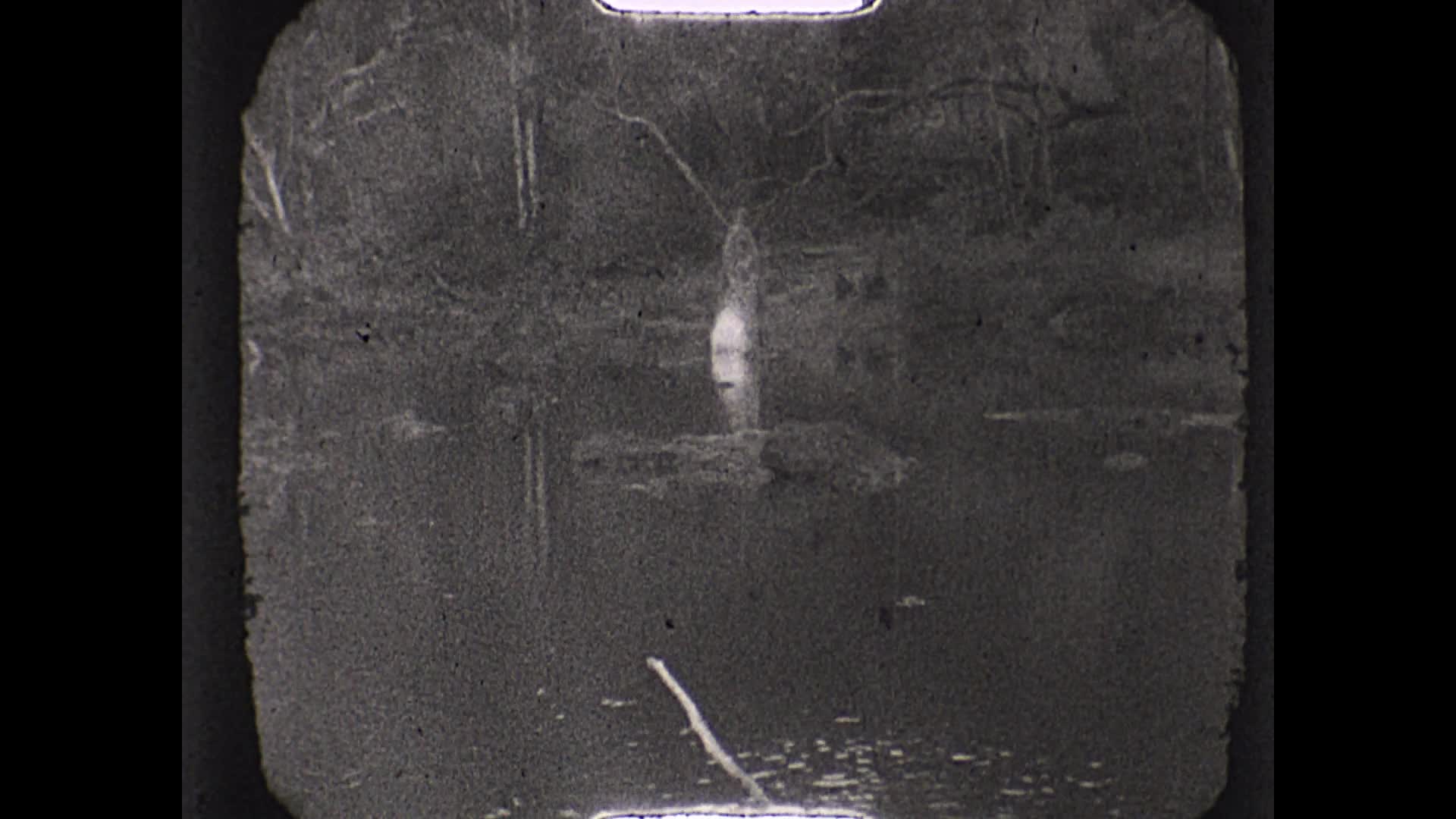 [John Robertson Duigan Film Collection: Reel 1] thumbnail image.