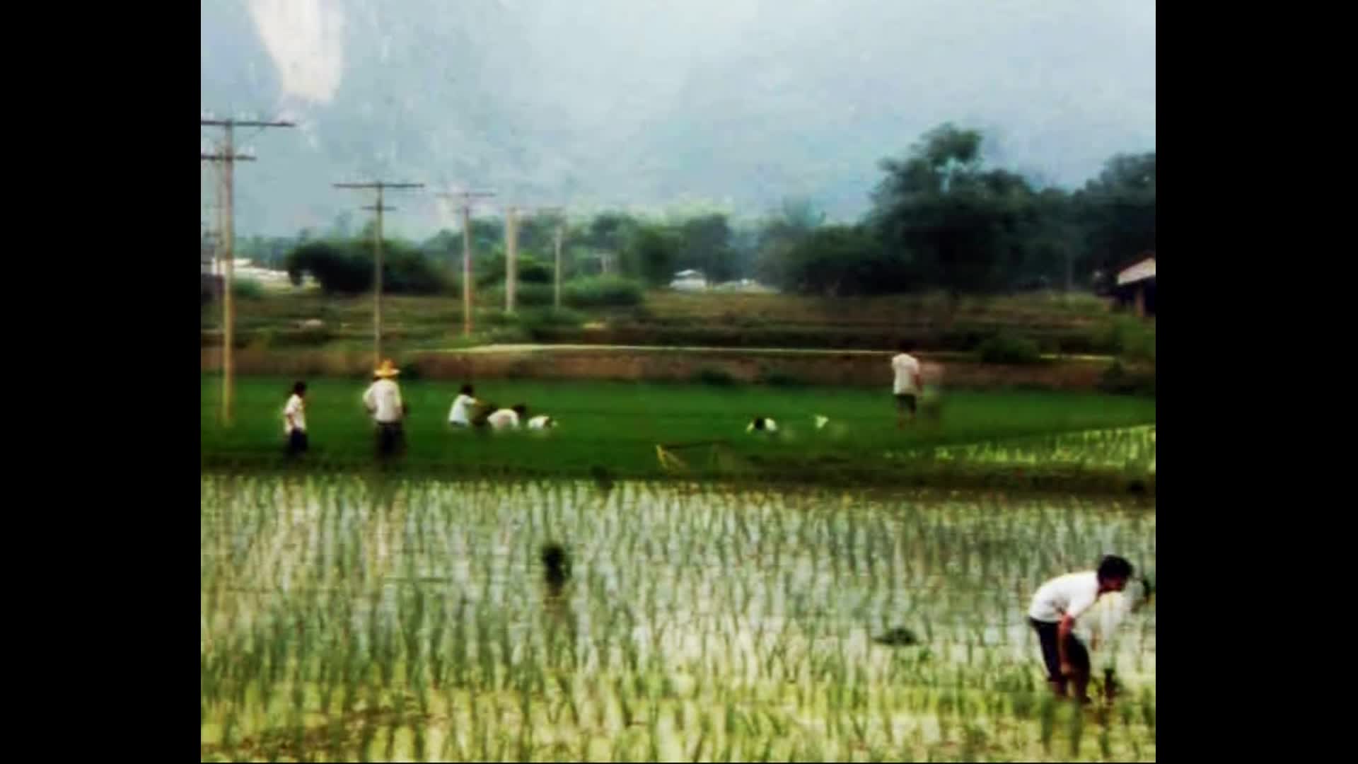 The Village green thumbnail image.